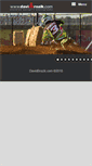 Mobile Screenshot of davidbrozik.com